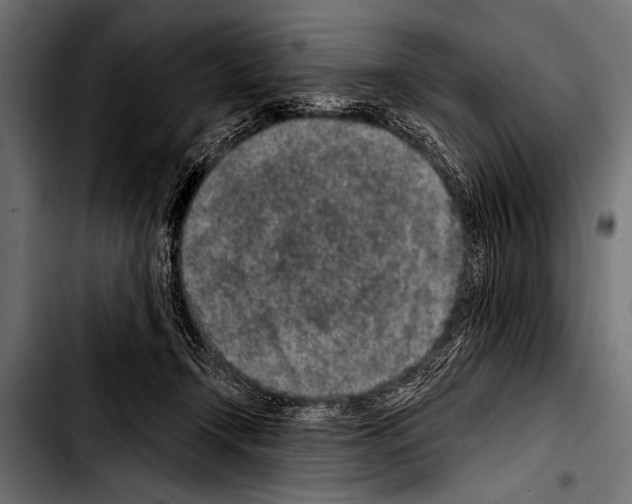 X0000103320366200810171407