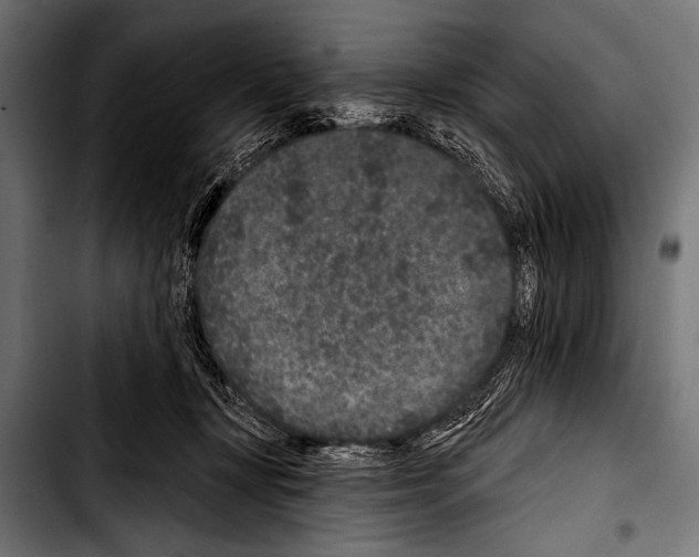 X0000103320367200810171407
