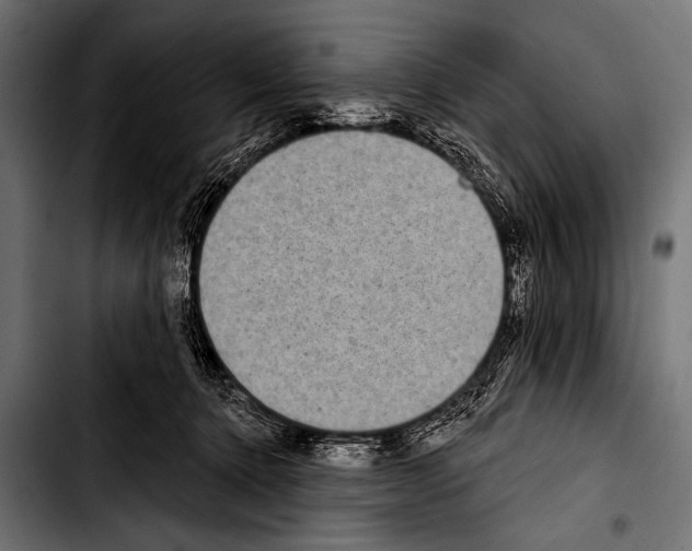 X0000103320368200810171407