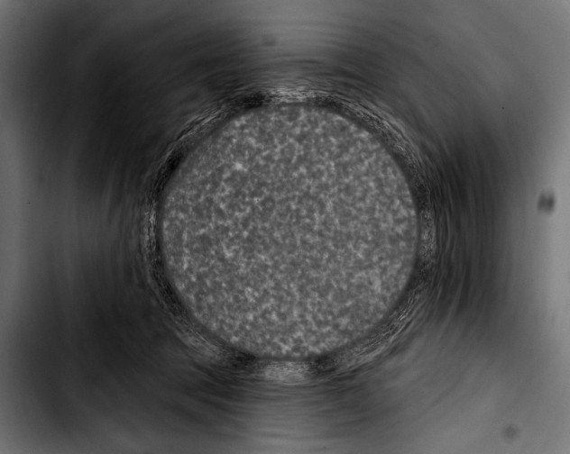 X0000103320369200810171407
