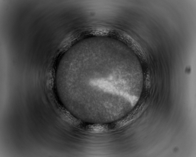 X0000103320370200810171407