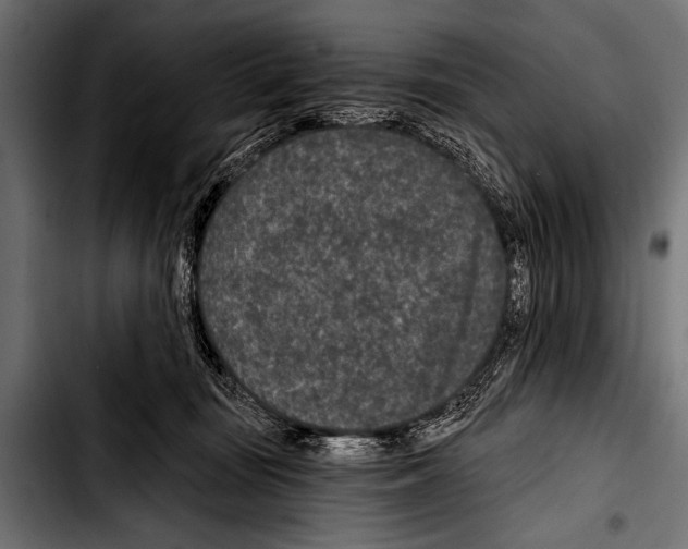 X0000103320371200810171407
