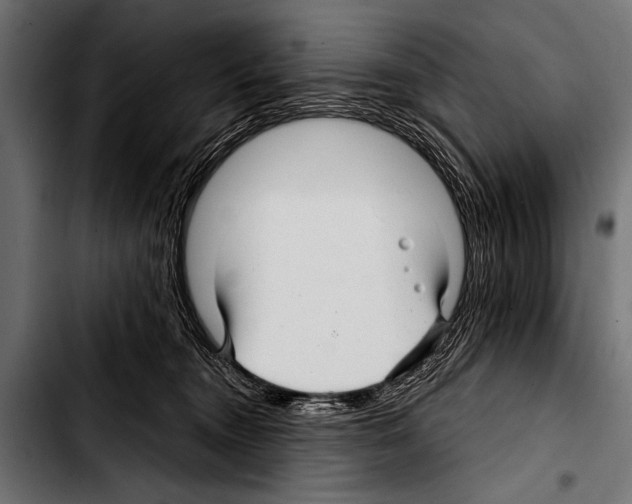 X0000103320372200810171407