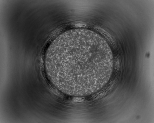 X0000103320373200810171407