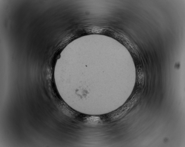 X0000103320374200810171407