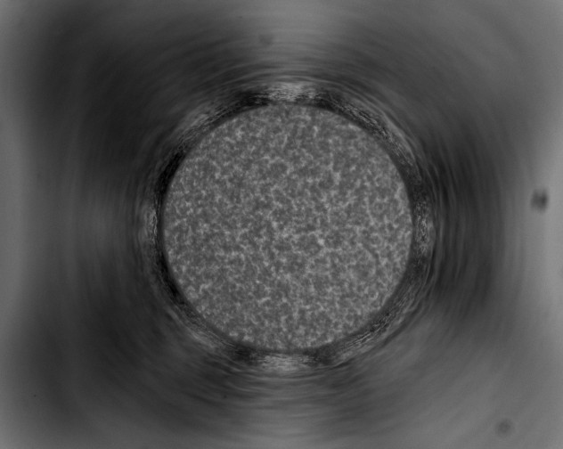 X0000103320375200810171407