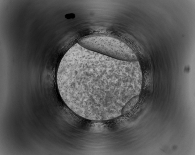 X0000103320376200810171407