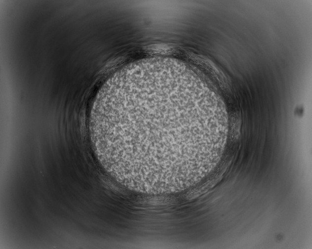 X0000103320377200810171407