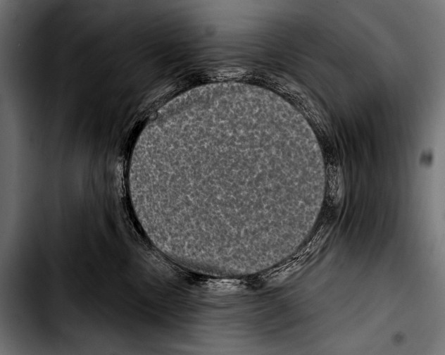 X0000103320378200810171407