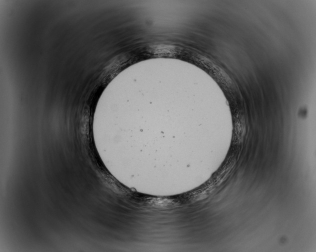 X0000103320379200810171407