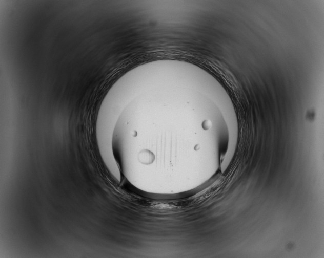 X0000103320380200810171407