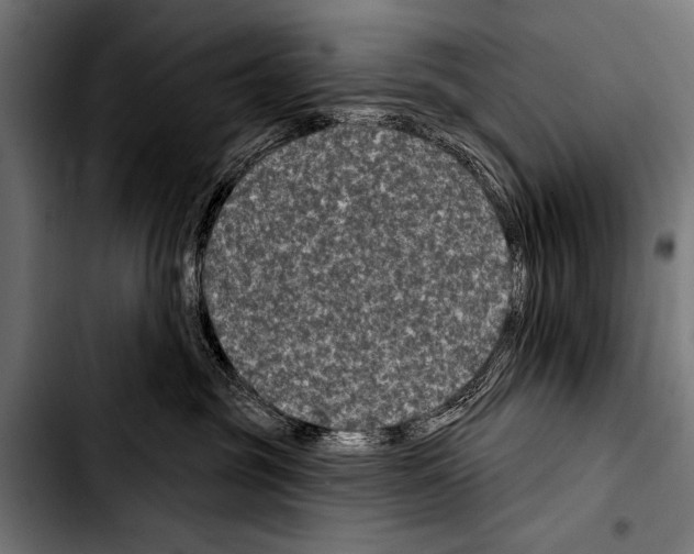 X0000103320381200810171407