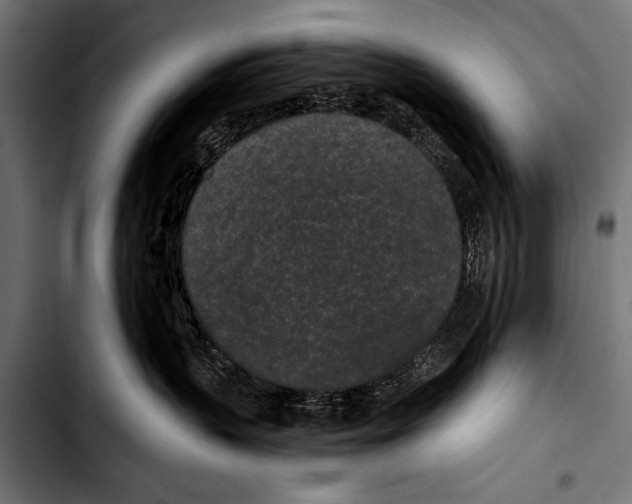 X0000103320383200810171407