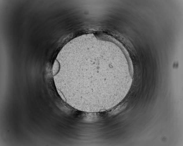 X0000103320384200810171407
