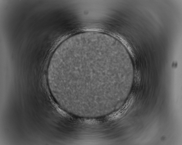 X0000103320385200810171406