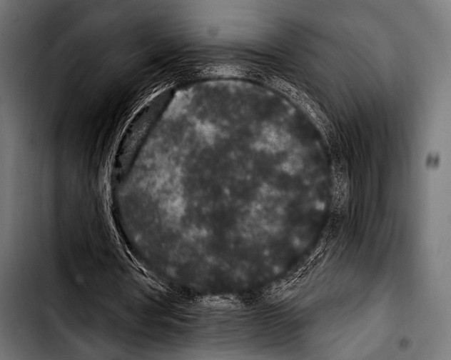 X0000103320386200810171406