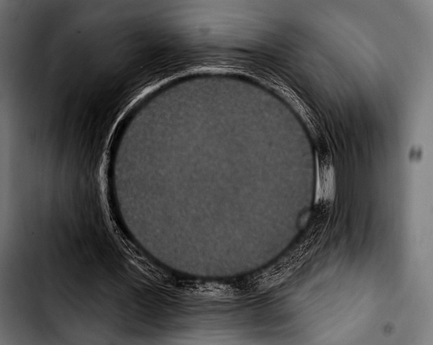 X0000103320387200810171406