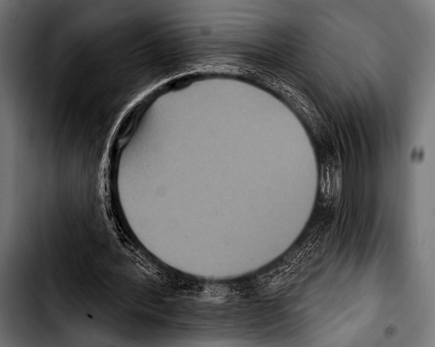 X0000103320388200810171406