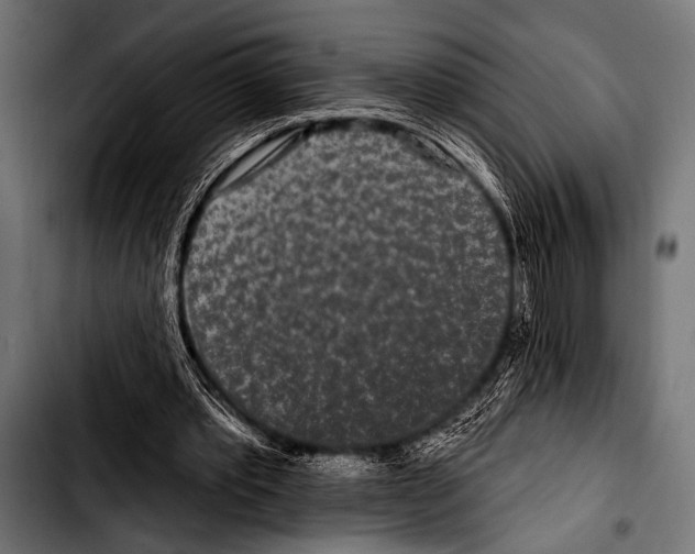 X0000103320389200810171406
