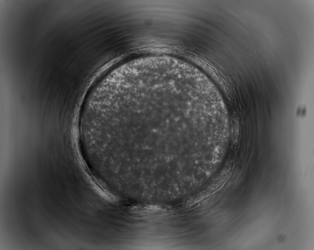 X0000103320390200810171406