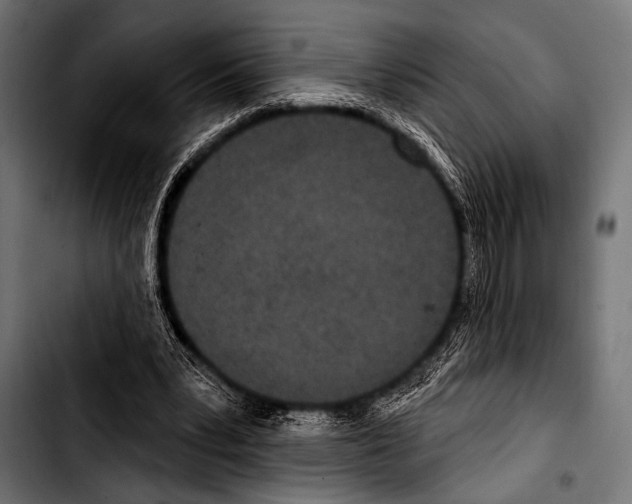 X0000103320391200810171406