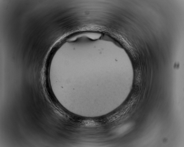 X0000103320392200810171406