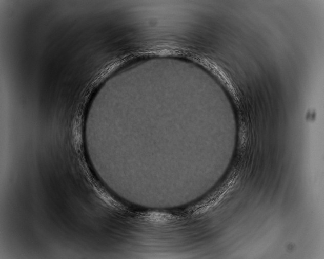 X0000103320393200810171406