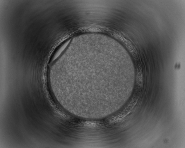 X0000103320394200810171406