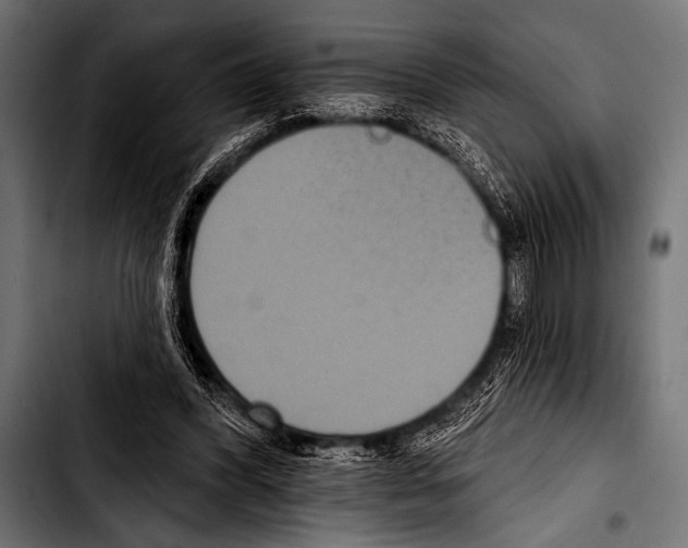 X0000103320396200810171406