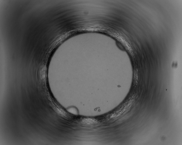 X0000103320397200810171406