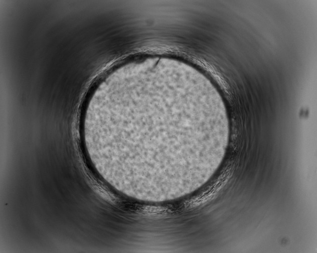 X0000103320399200810171406