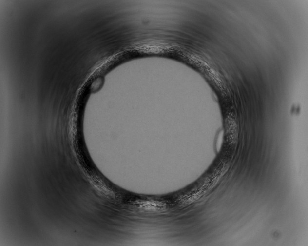 X0000103320400200810171406