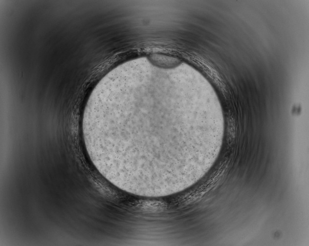X0000103320401200810171406