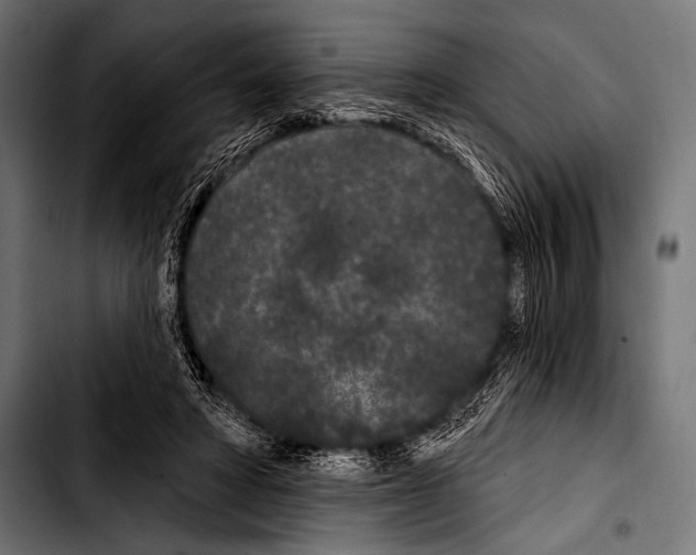 X0000103320402200810171406