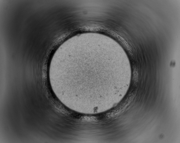 X0000103320403200810171406