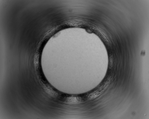 X0000103320404200810171406