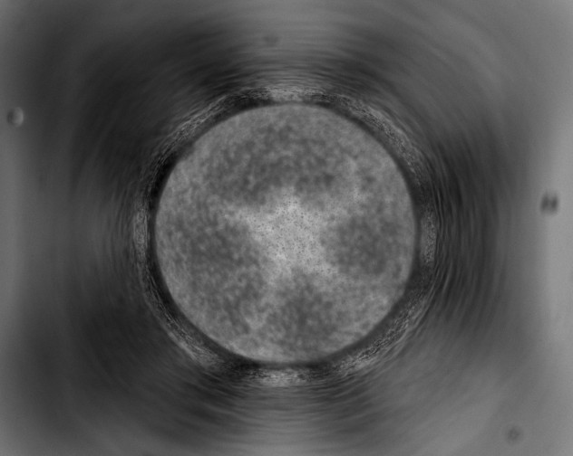 X0000103320405200810171406