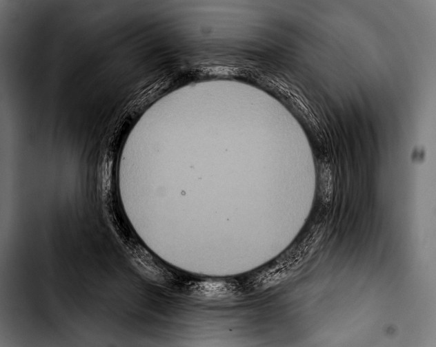 X0000103320406200810171406