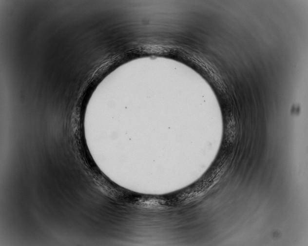 X0000103320407200810171406