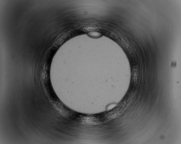 X0000103320408200810171406