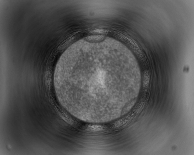 X0000103320409200810171406