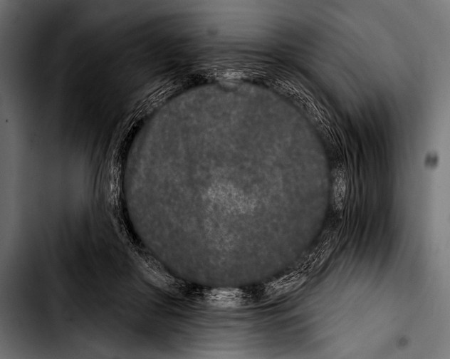 X0000103320410200810171406