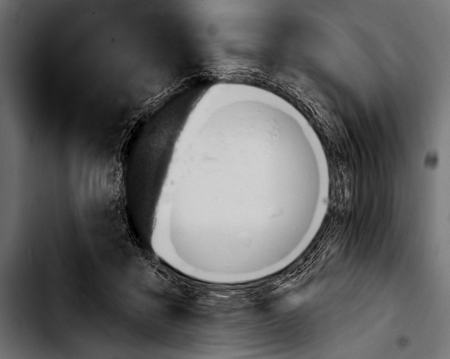 X0000103320411200810171406