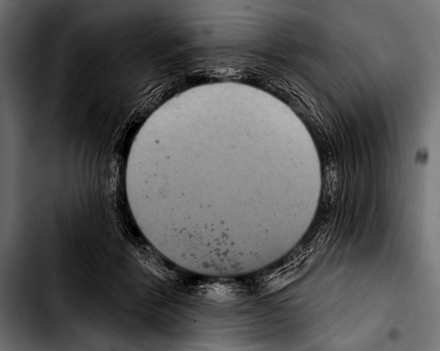 X0000103320412200810171406