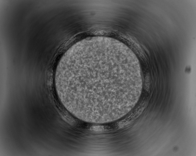 X0000103320413200810171406