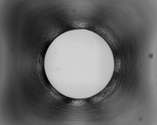 X0000103320414200810171406