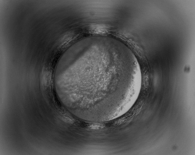 X0000103320415200810171406