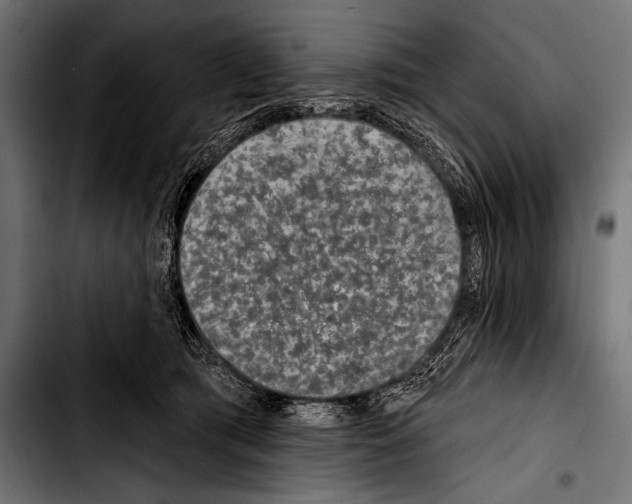 X0000103320417200810171406