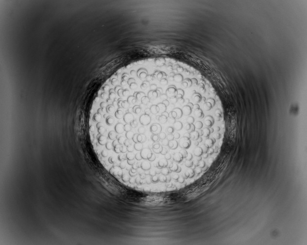 X0000103320418200810171406