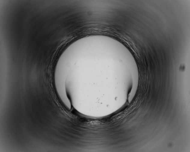 X0000103320423200810171406